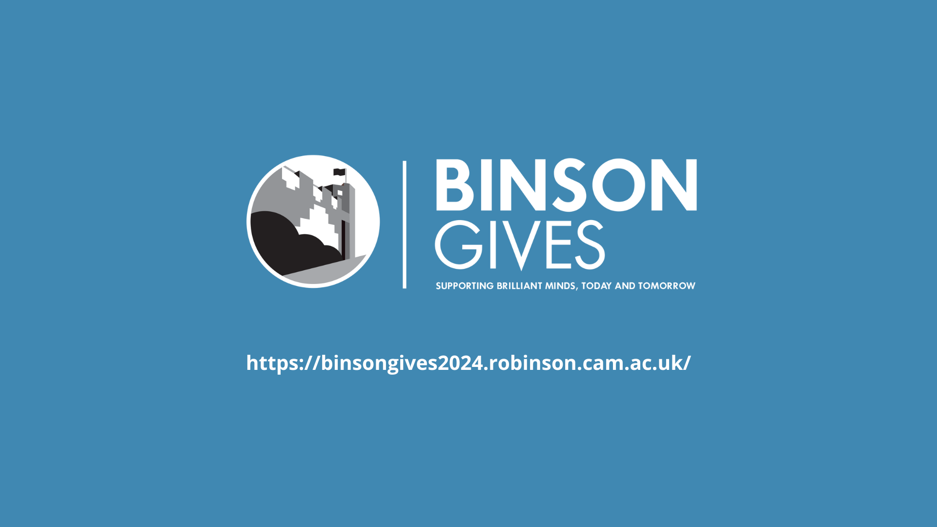BinsonGives logo with blue background